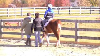 Denver Horseback Riding