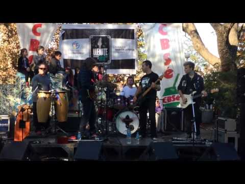 Miniatura de Perro Viejo