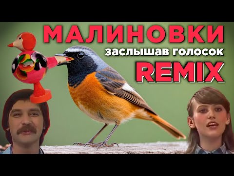 Верасы - Малиновка / Remix.