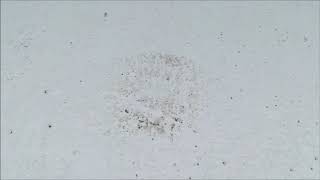 Neodur FT Elastic vízszigetelő bevonat