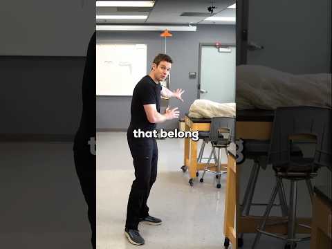 Body Donation Process - A few choices you make