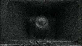 Seismic Wave Factory - Konran