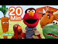 Farm Songs With Farmer Elmo ‍ 20 Mins Sesame Street