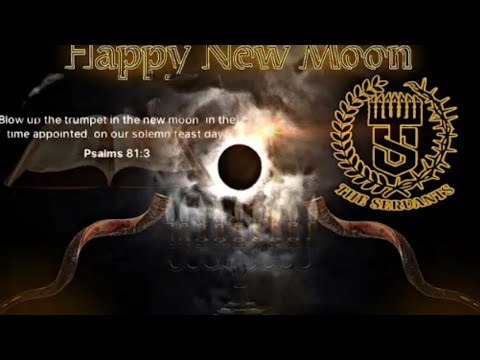 TS: Chief Ephraim - What A Time To Be Alive‼️ (New Moon 11th Month)