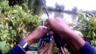 Download lagu Mancing di Muara | Hujan hujan #short #mancing #caramancing #caramancingkakap #barramundi #fyp mp3 Download lagu Mancing di Muara | Hujan hujan #short #mancing #caramancing #caramancingkakap #barramundi #fyp mp3