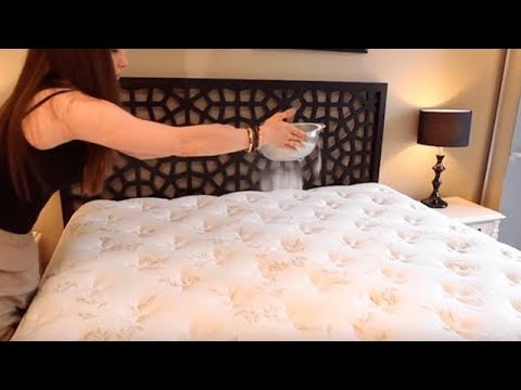 Sprinkle baking soda on your bed and this will happen!