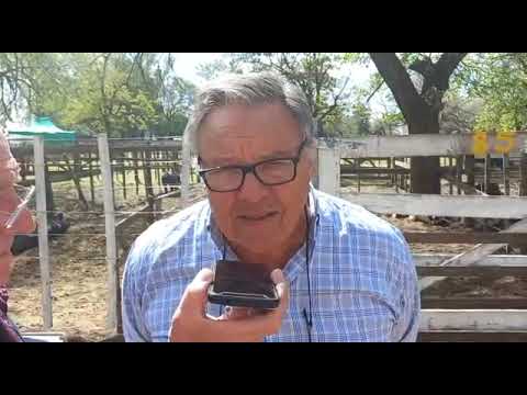 Gervasio Sáenz Valiente