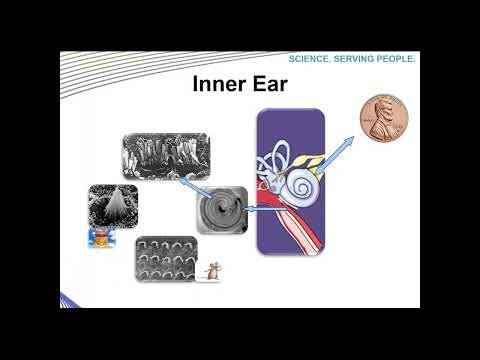 Webinar: Sound and Noise Basics - SKC's Andy Bragg