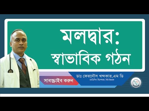 মলদ্বার::স্বাভাবিক গঠন।