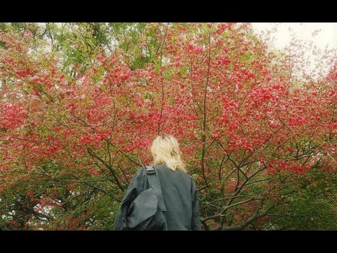 Brahny - Pride (Official Video)