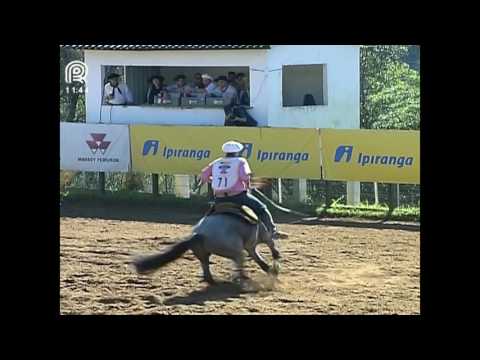 Chapecó – 1° lugar machos – Arroyto do Cangaçu