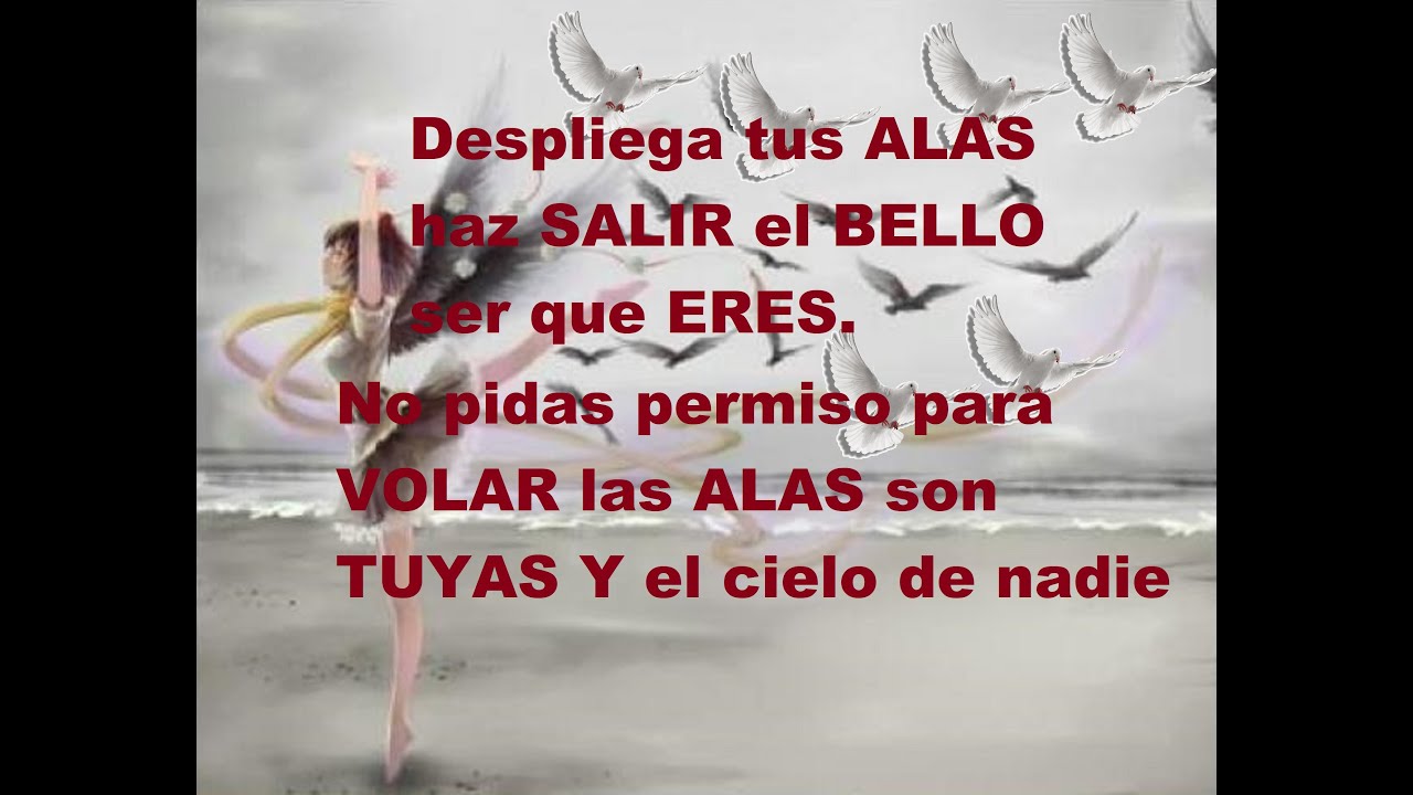 No pidas permiso para VOLAR las ALAS son TUYAS Despliega tus ALAS haz SALIR el BELLO ser que ERES
