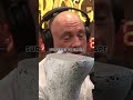 David Goggins Special Knee