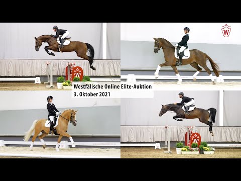 62. Westfälische Herbst Elite-Auktion 29. September bis 3. Oktober