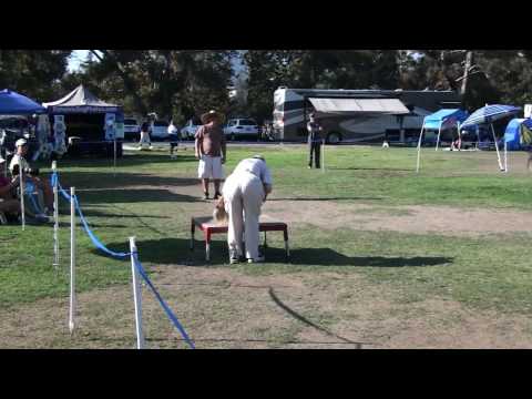 090920 Patsy Snooker 2.m2t