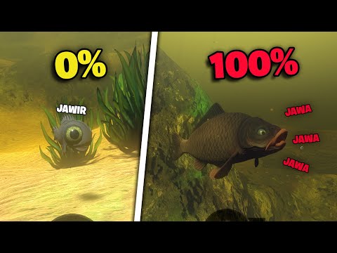 Gua Jadi IKAN JAWA sampai jadi SANGAR Di Feed And Grow Fish