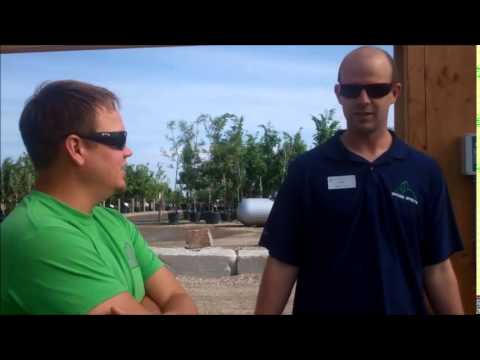 Ground Effects, Sioux Center