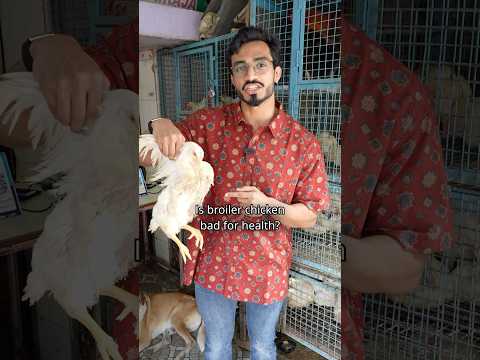 Is Broiler Chicken Bad For Health? | For Online Fitness Coaching WhatsApp me at +919663488580