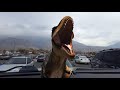 T Rex Roar