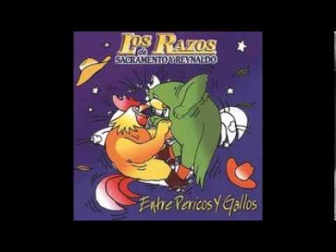 los razos culebras andan ardidas