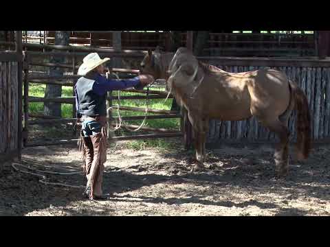 Ride Smart with Craig Cameron Season