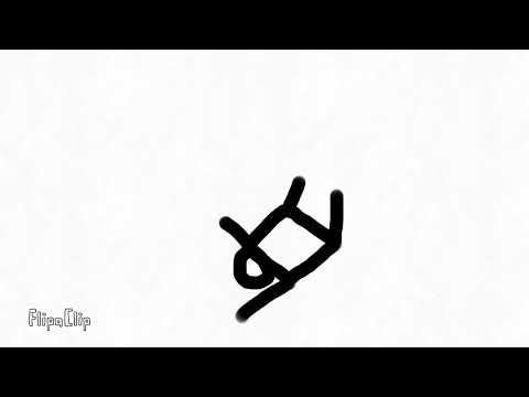 The somersault (animation)