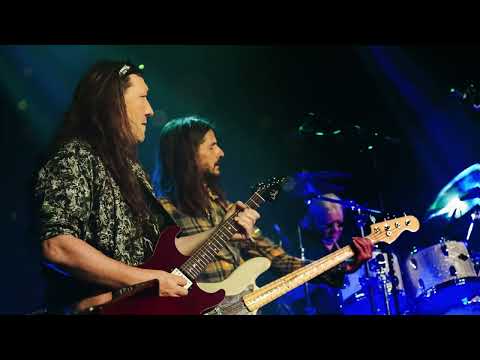 Purpendicular - Human Mechanic [Official Video]