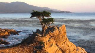 Can You Stop the Rain/Grover Washington Jr