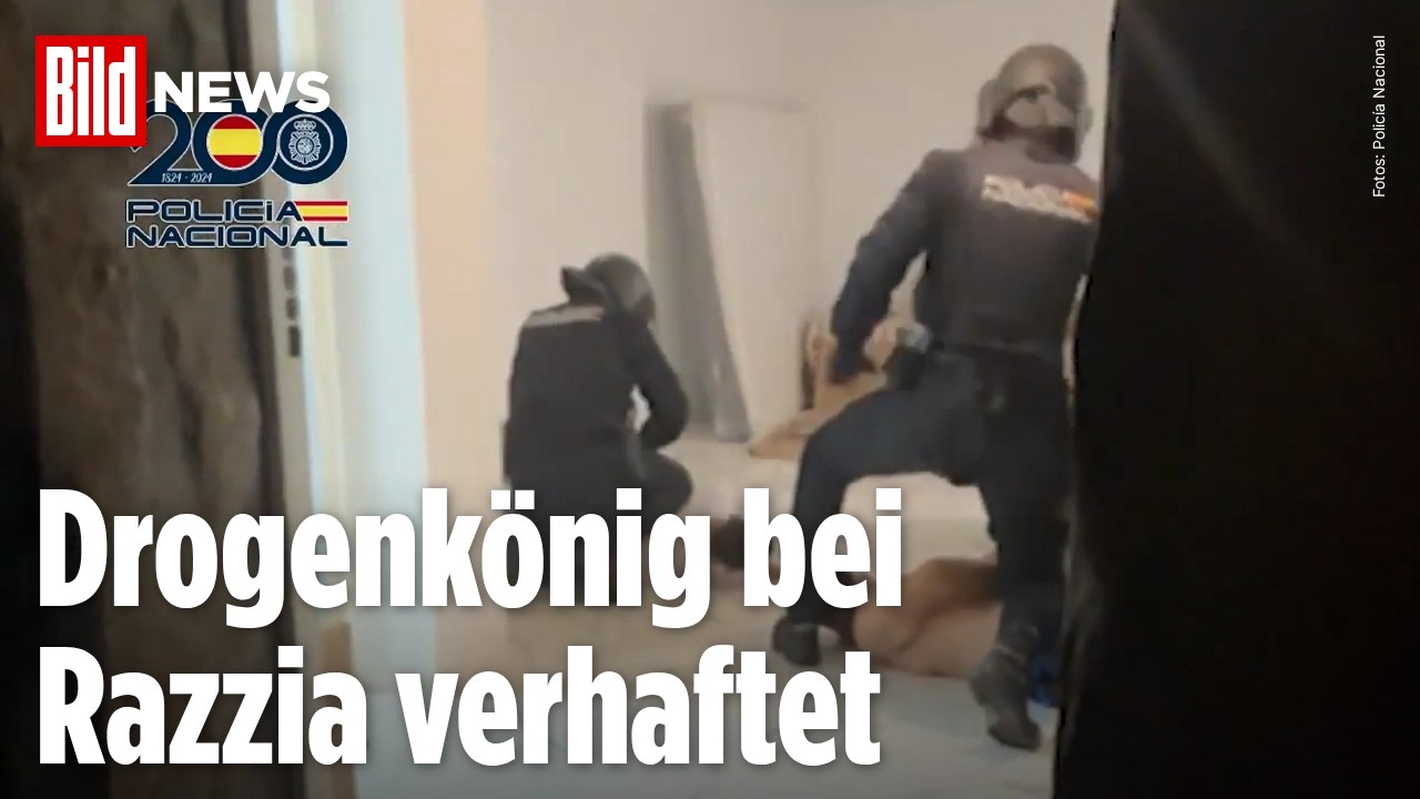 SPANIEN: Fast elf Tonnen Rauschgift entdeckt! Polizei zerschlägt Drogenring von „Boss EI Moreno”