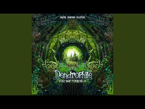 Lsd (Dendrophile Remix)