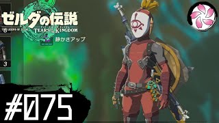 【ティアキン＃75】凡人が行く龍泪旅