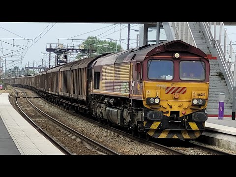 SNCF Trains (TER, Euro Cargo Rail, FRET And TGV Inoui) At Gare D'Hazebrouck / Hazebrouck Stn 31/7/24