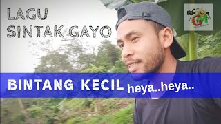 Download lagu Lagu Gayo Sintak Wen simahgoda ' bintang kecil ' BINTANG KECIL Pak Dal mp3