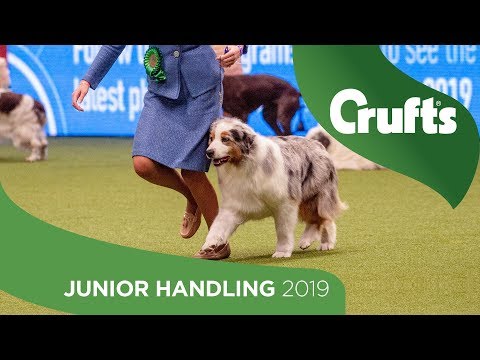 International Junior Handling Competition - Final Judging | Crufts 2019