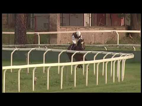 Premio Lydia Tesio Italian - Gruppe 2