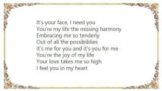 Brian Wilson - You&#39;ve Touched Me Lyrics