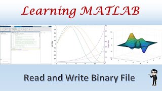 MATLAB Read and Write Binary File