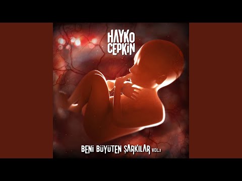 Hayko Cepkin - Aldırma Gönül cover