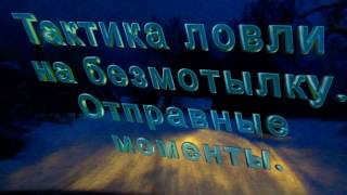 Техника и тактика ловли на безмотылку