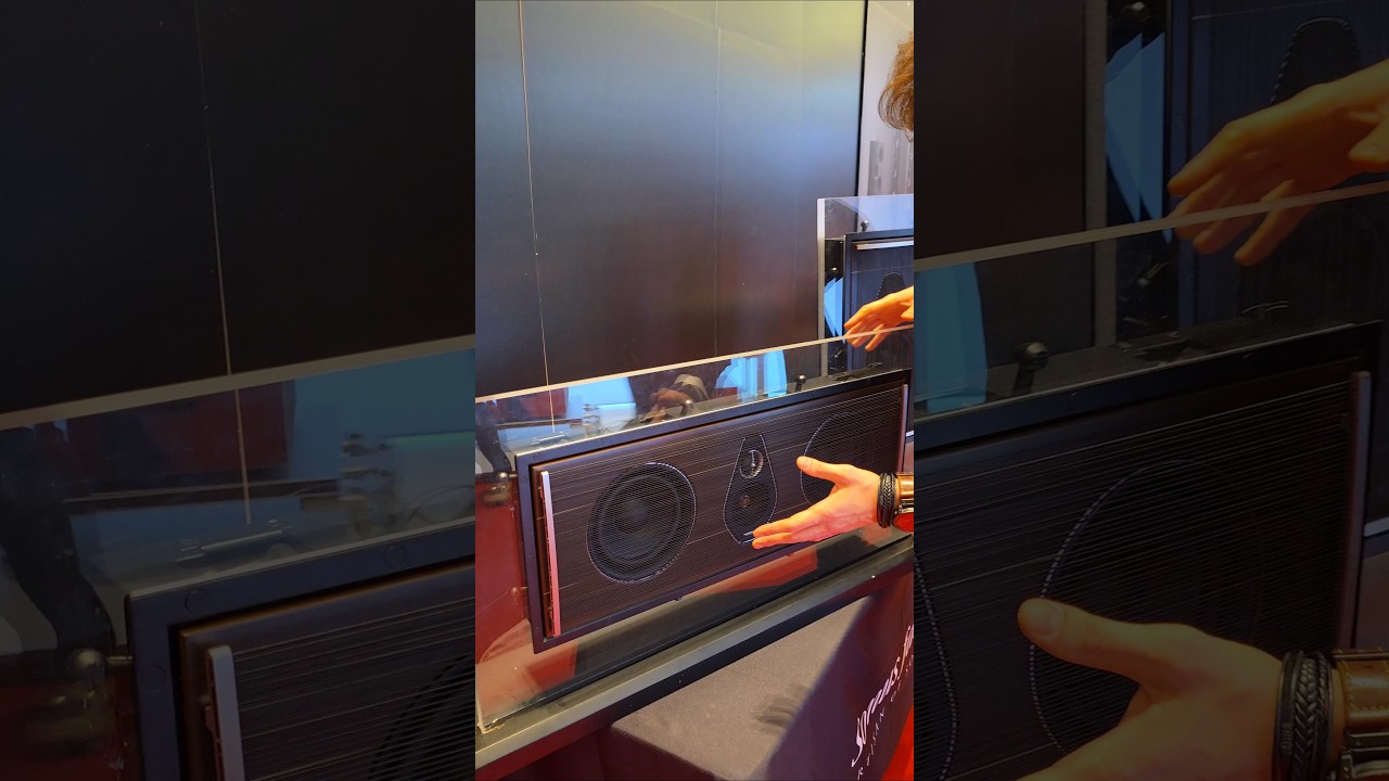 Зачем так сделали грили в ультра дорогой акустике Sonus Faber?