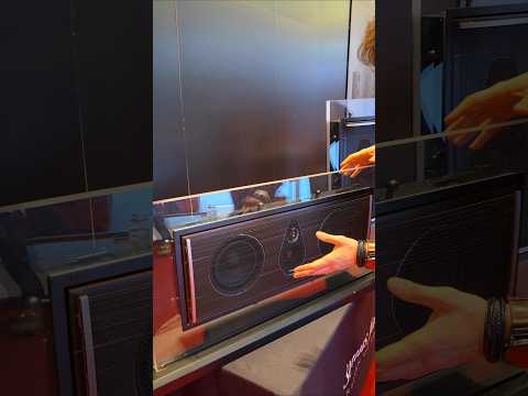 Зачем так сделали грили в ультра дорогой акустике Sonus Faber?