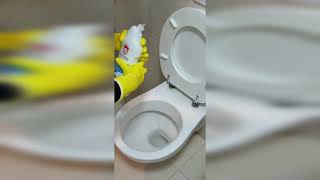 Video produs