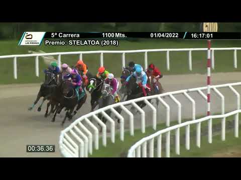 220401 c05 - WIRED STORM - HIPODROMO LAS PIEDRAS