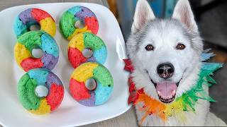We Made Rainbow Donuts for Dogs! 🌈 DIY Dog Treats
