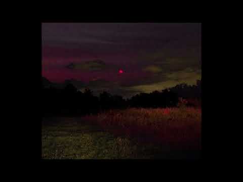 tanin jazz - virtual love (speed up + reverb)