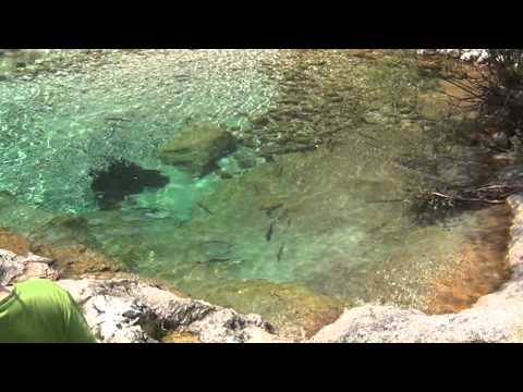 Slovenia Alps.At Camp site Polovnik 2012.06. Part1