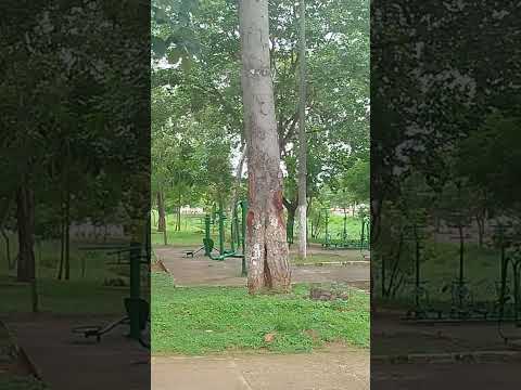 Conceição do Araguaia entre matos e florestas...