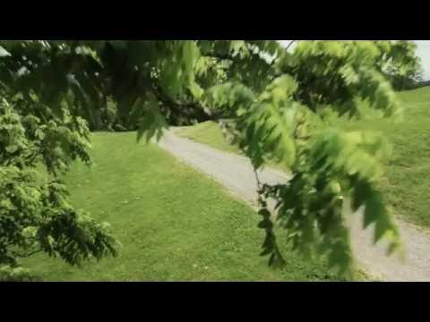 God Is video