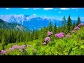 Beautiful Austria