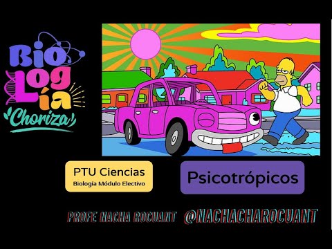 Clase 4 Electivo: Psicotrópicos